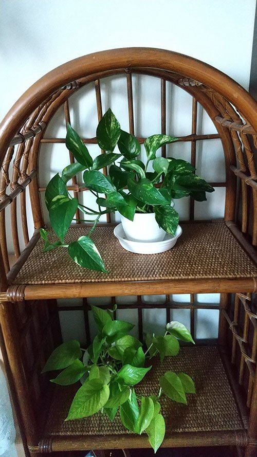 占い師亜子のお気に入り写真1